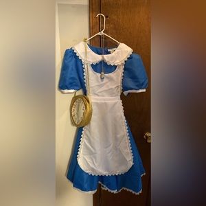Alice in Wonderland Costume 1x